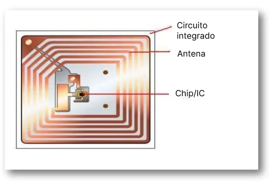 partes etiqueta rfid